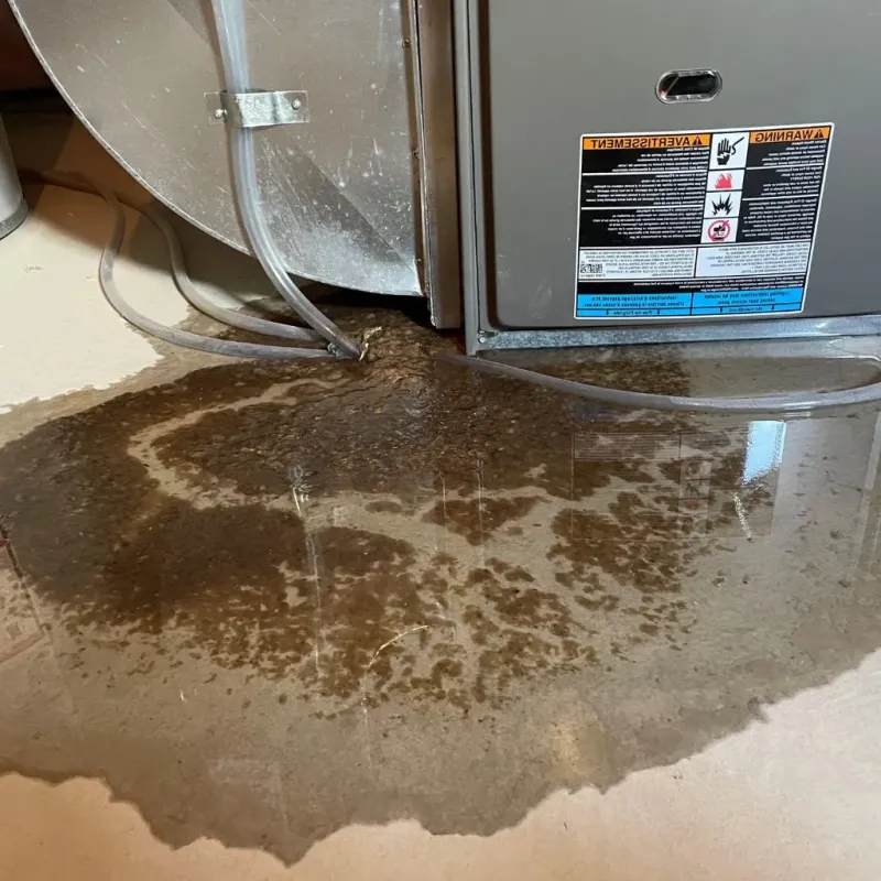 Pipe Burst and Leak Restoration in Nelson County, KY
