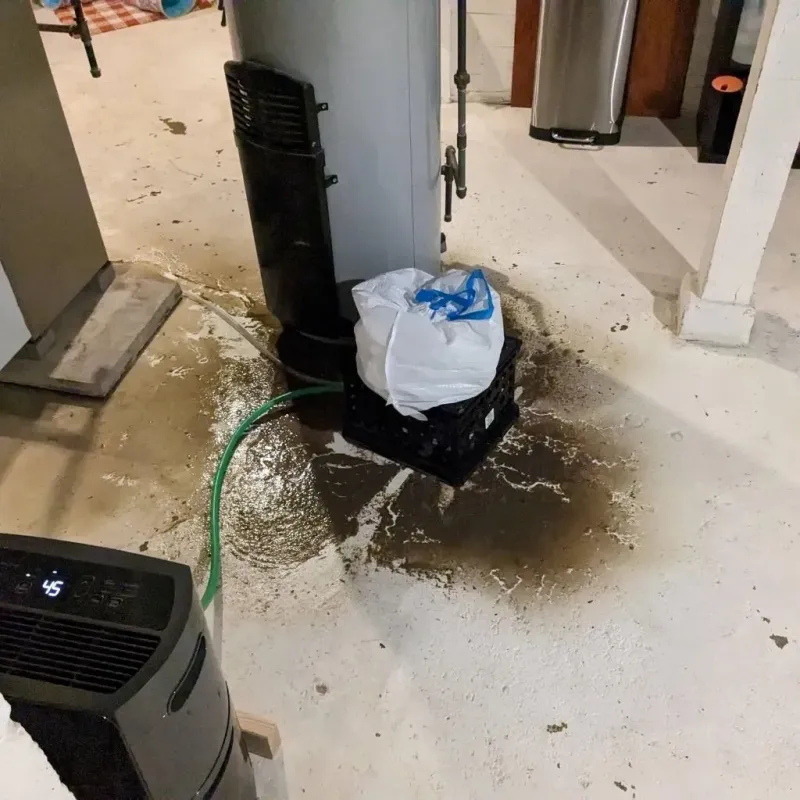 Sewage Backup Cleanup Service in Nelson County, KY